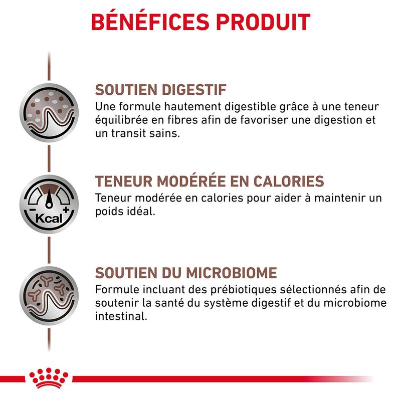Royal Canin Veterinary Gastrointestinal Moderate Calorie en sauce