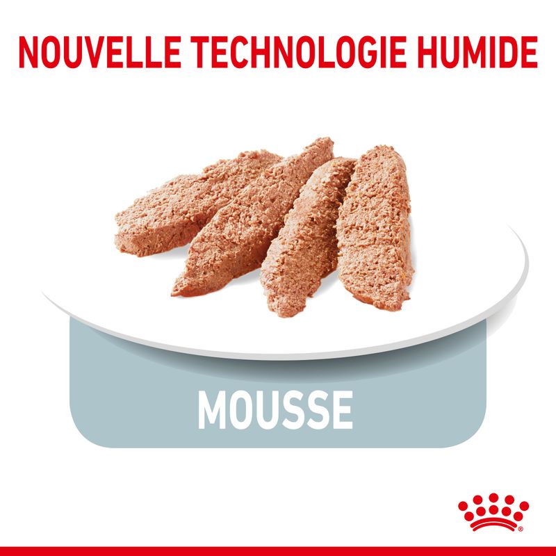 Royal Canin Indoor Sterilised en mousse
