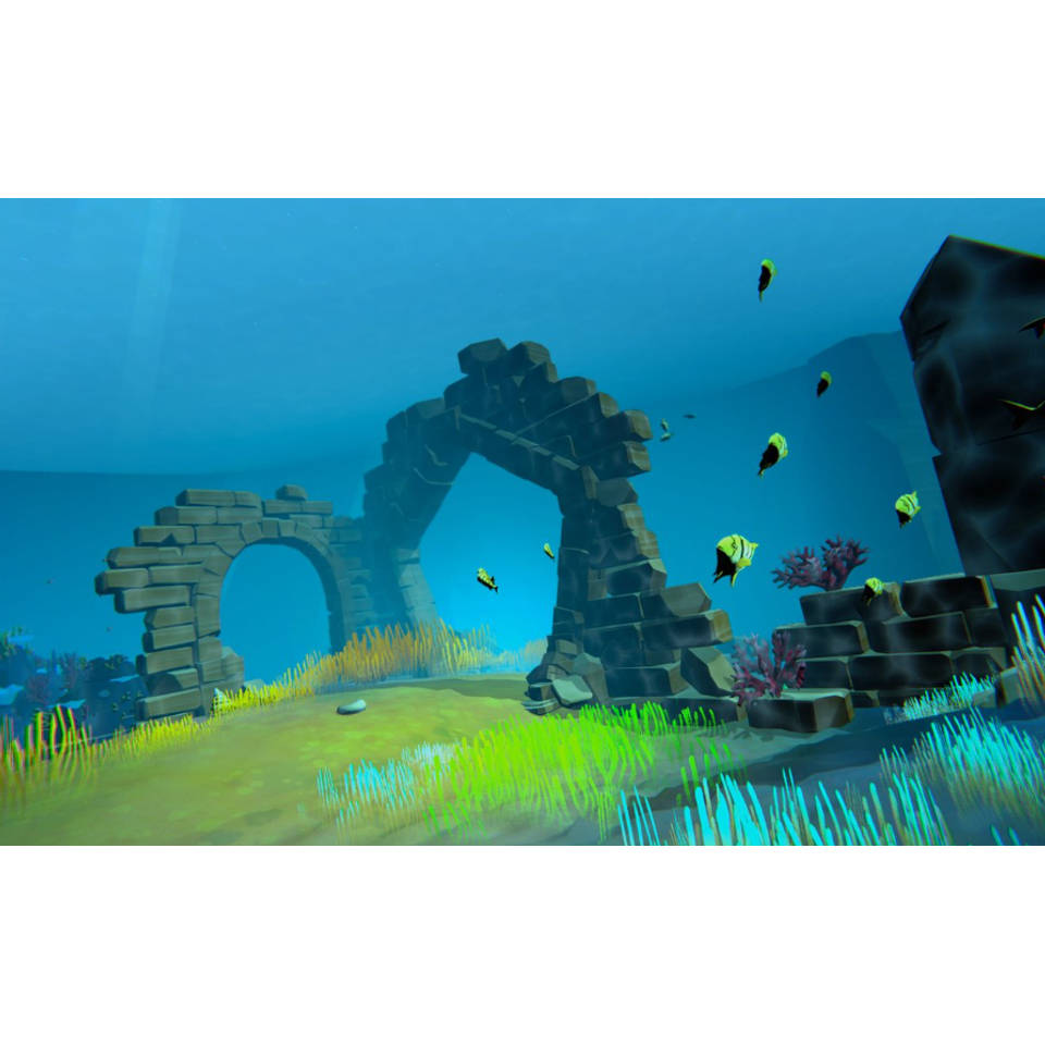 Dolphin Spirit Ocean Mission PS5