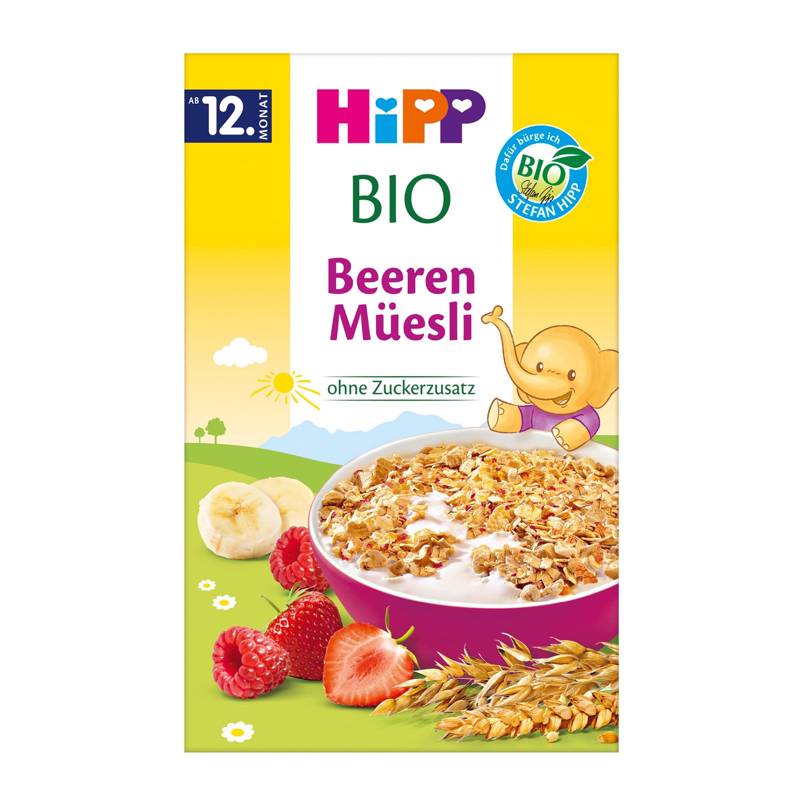 Hipp Kinder Beeren Müsli