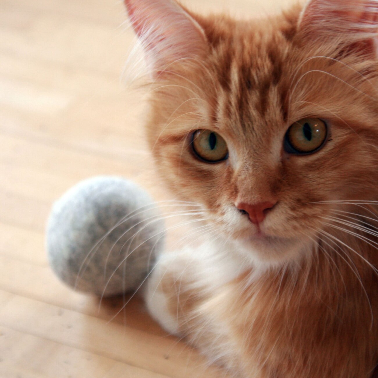 LucyBalu MINT BALL Filzball mit Katzenminze