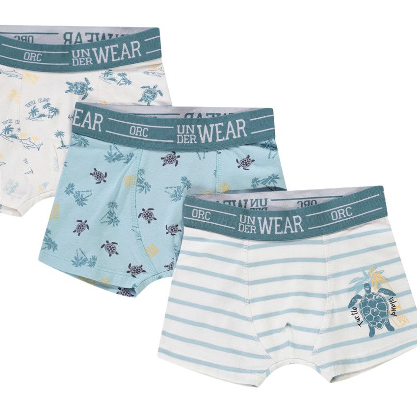 Lot de 5 boxers motifs Turtle Island pour garçon - Bleu