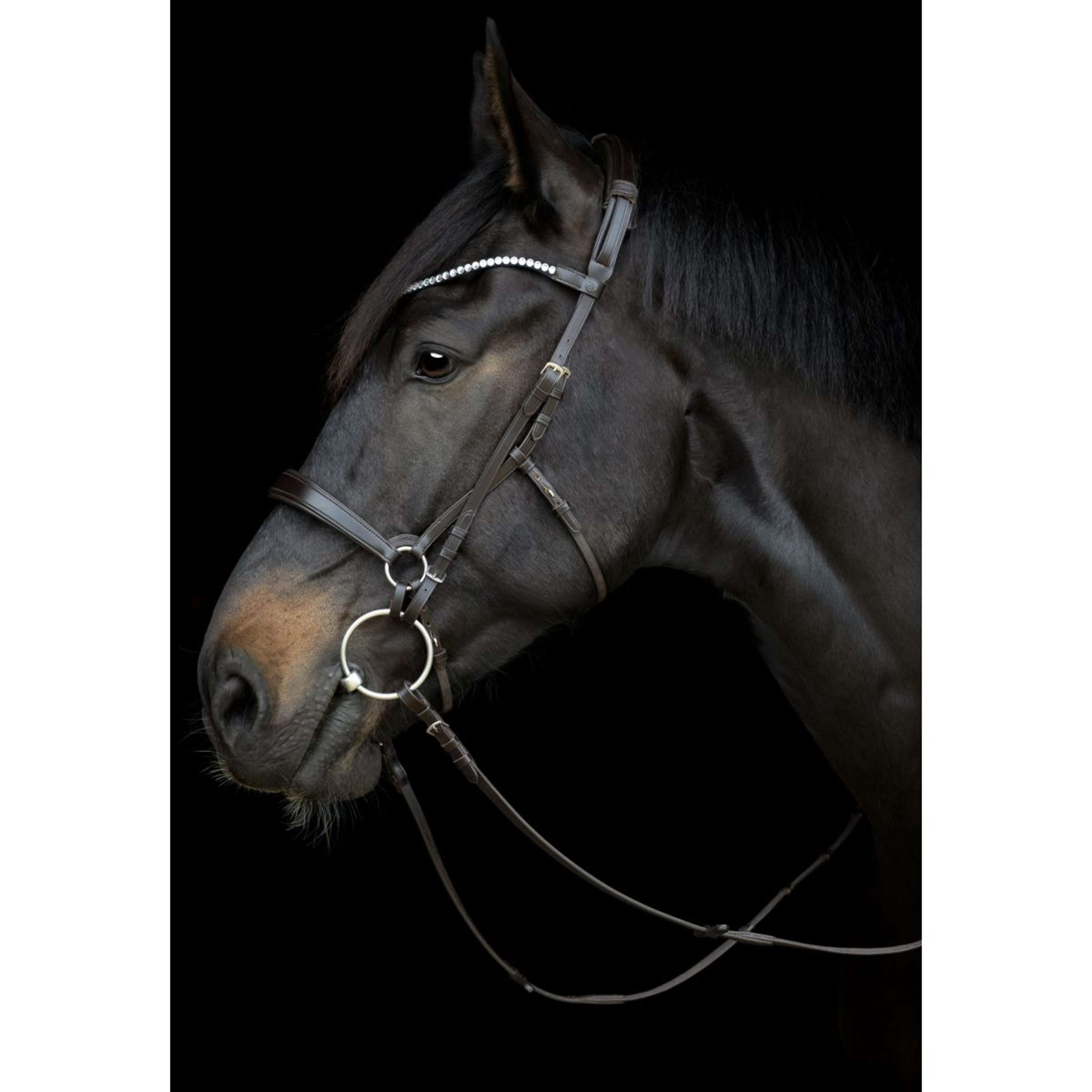 Catago Keelriem Gentle Zwart
