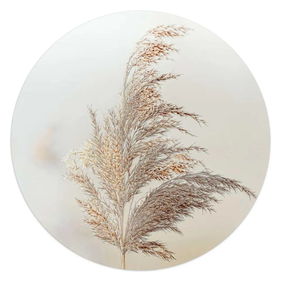 Glasschilderij Pluim in de wind - Ø 50cm - Beige