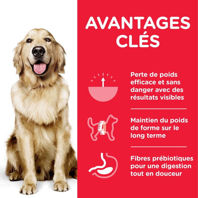 Hill's Science Plan Adult 1+ Perfect Weight Large poulet