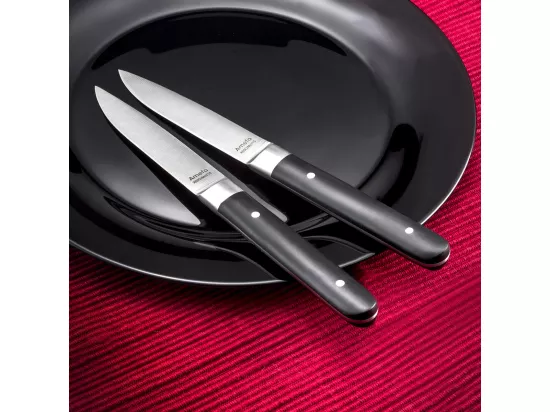 Fusion Noir - Coffret 4 couteaux steak