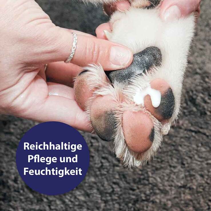 Canosept Pfotenpflege Gel für Hunde, 75 g