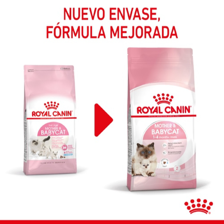 Ração para gatos Royal Canin Mother & Babycat