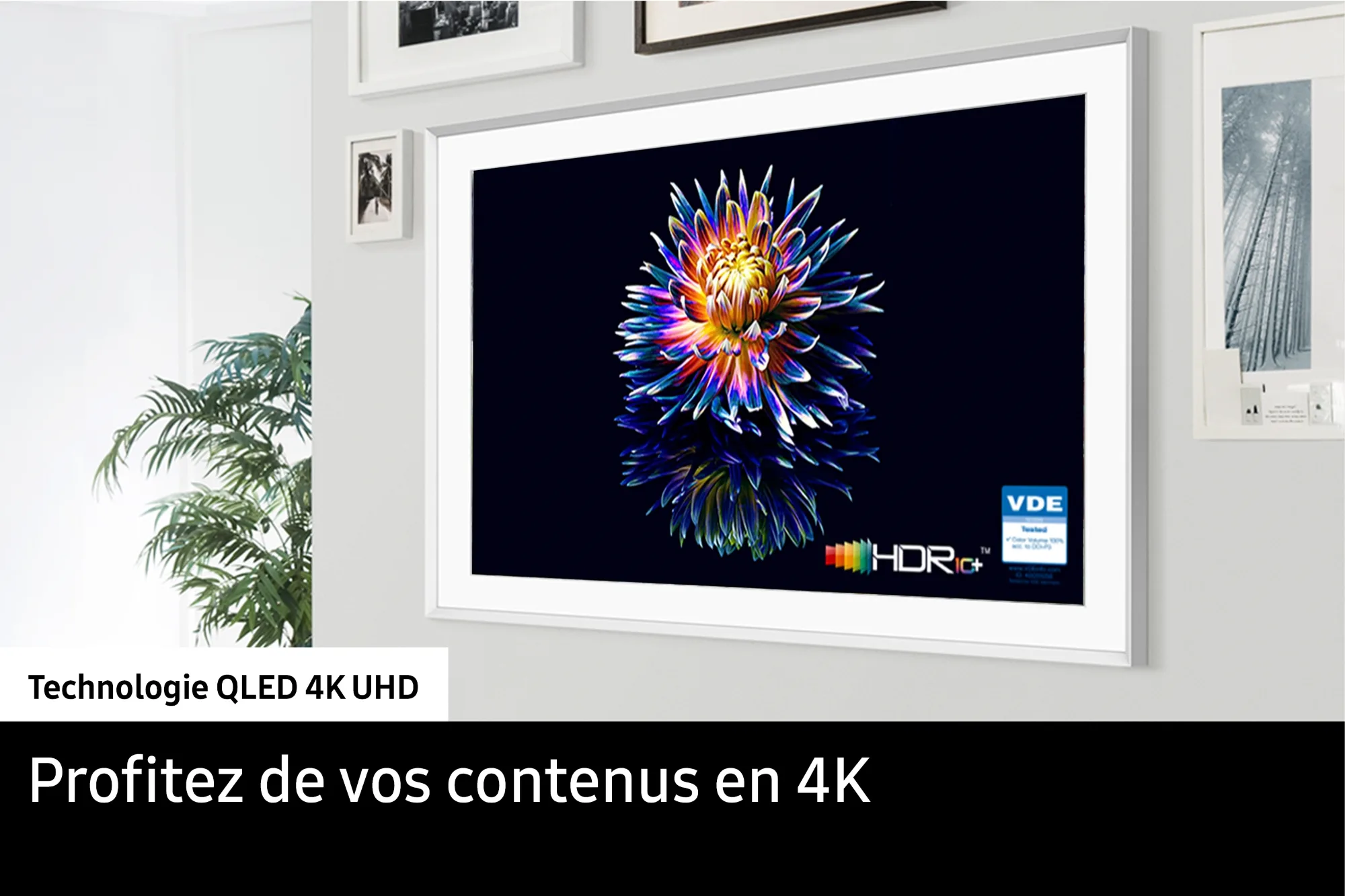 Samsung TQ43LS03D   HW-S711D TV QLED