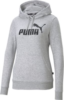 PumaEssentials Logo Hoody - grau