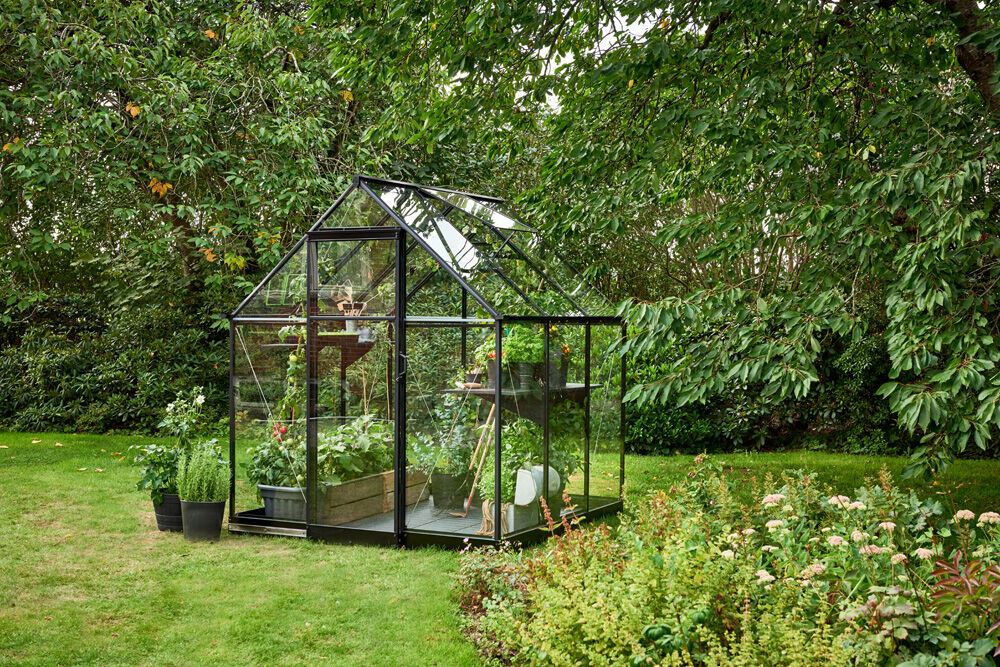 Halls Qube 66 - Tuinkas - zwart - 219x198x198 cm - Veiligheidsglas