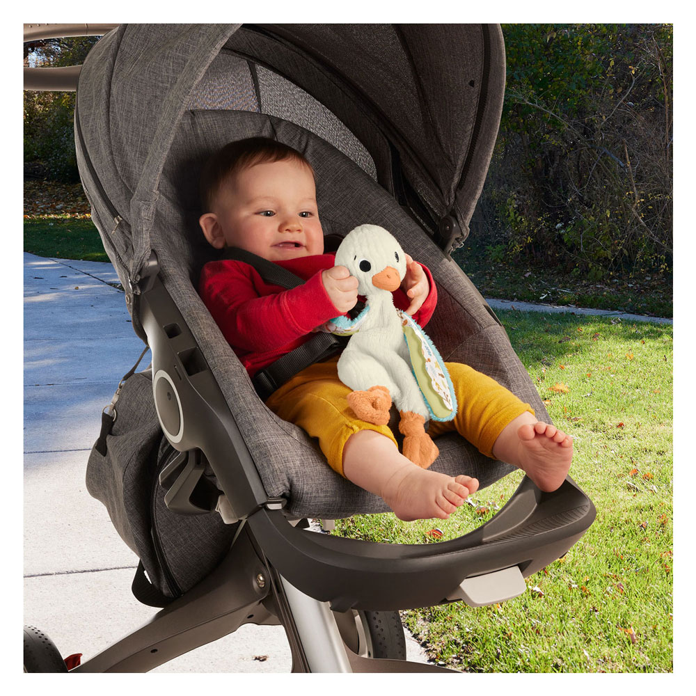 Fisher Price Planet Friends Knuffel Gans