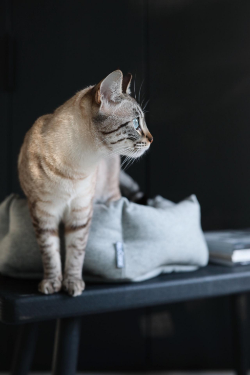 MiaCara Calma kattenmand Ø45 donkergrijs