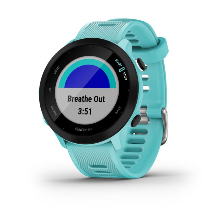 Garmin Unisex Ure Forerunner® 55
