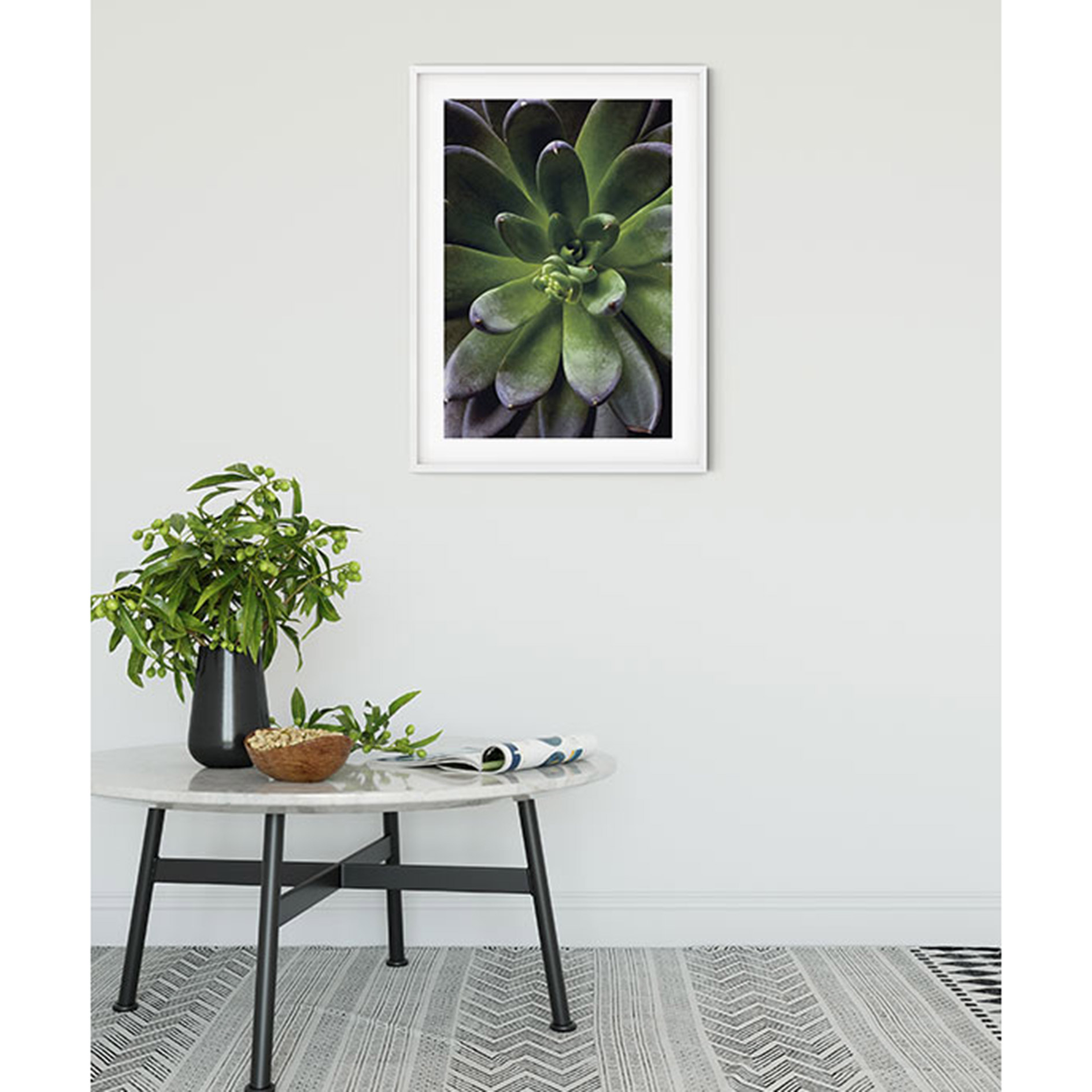 Wandbild SUCCULENT SINGLE - grün-lila - 50x70 cm
