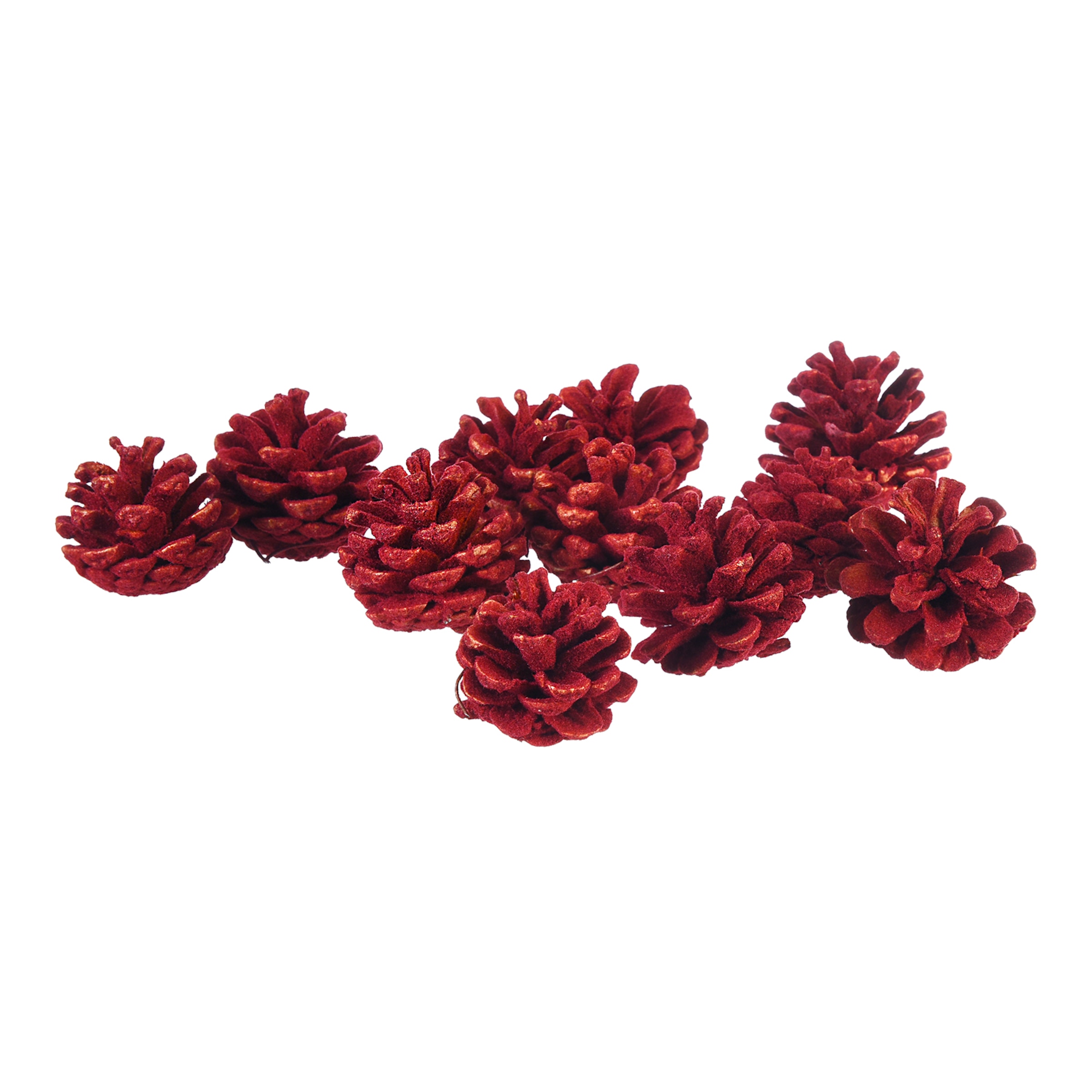 rot, 100 g