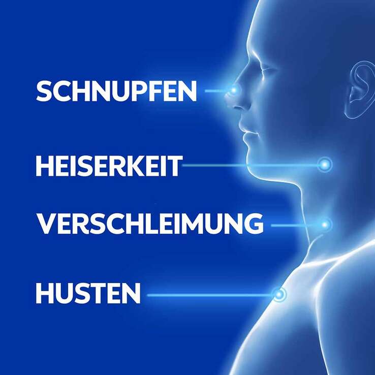 WICK VapoRub Erkältungssalbe, 50 g