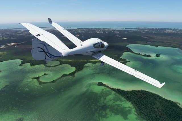 Microsoft Flight Simulator