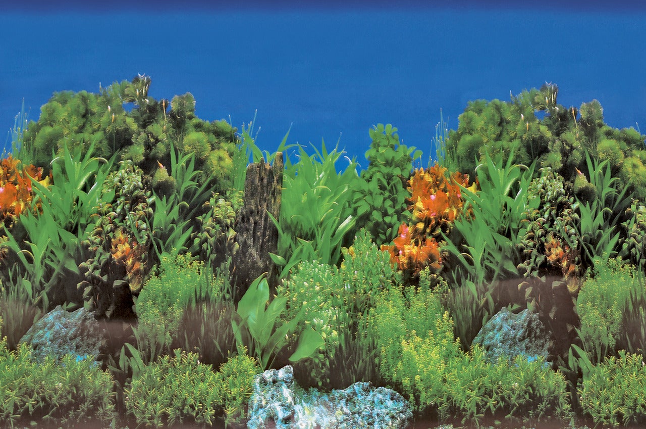 SuperFish aquarium decoratie Poster B3 multi 100 x 49 cm
