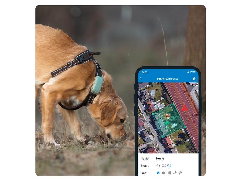 tractive GPS-Tracker DOG XL, Grün GPS Tracker für grosse Hunde