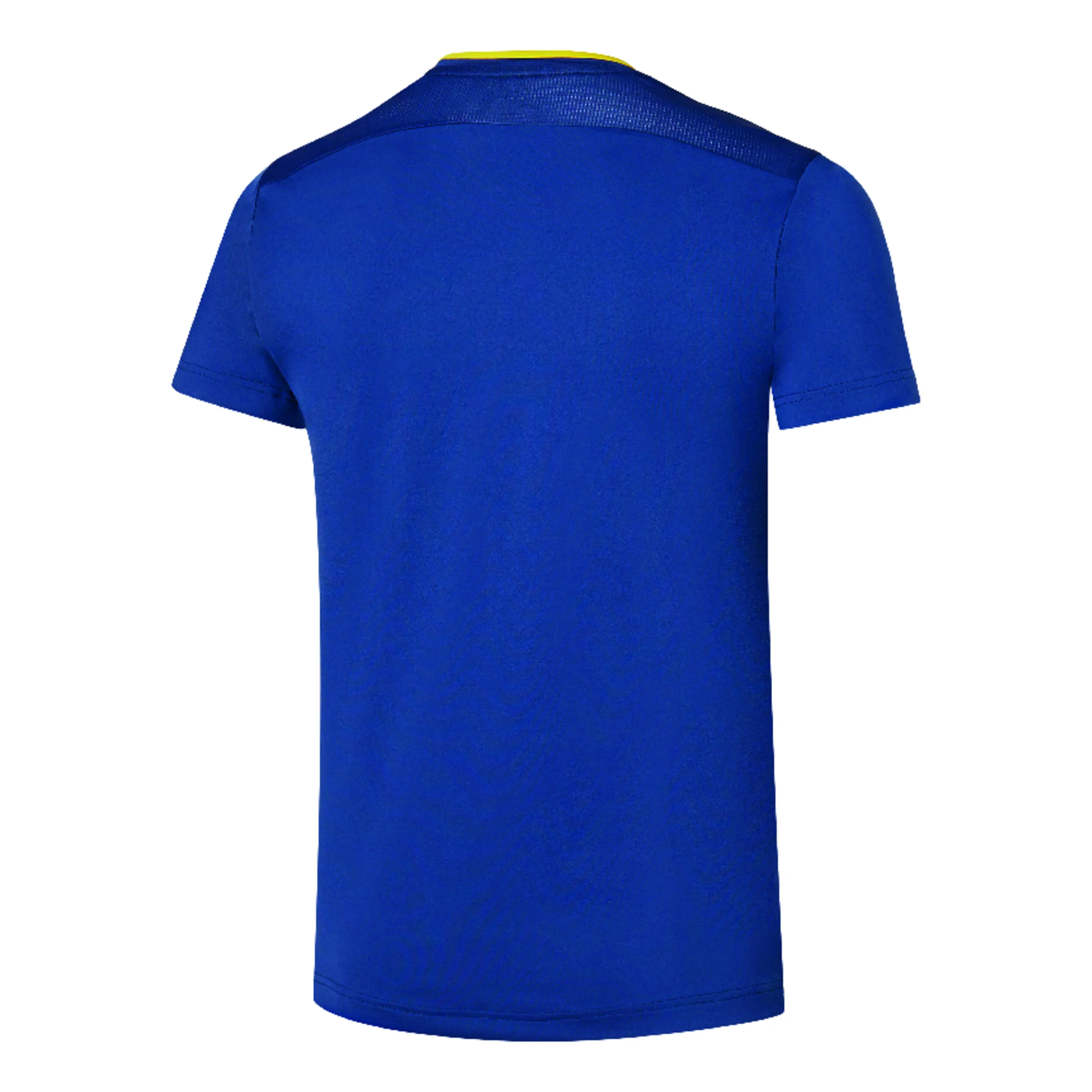 Mizuno Frontier Shadow Graphic T-shirt Hommes - Bleu