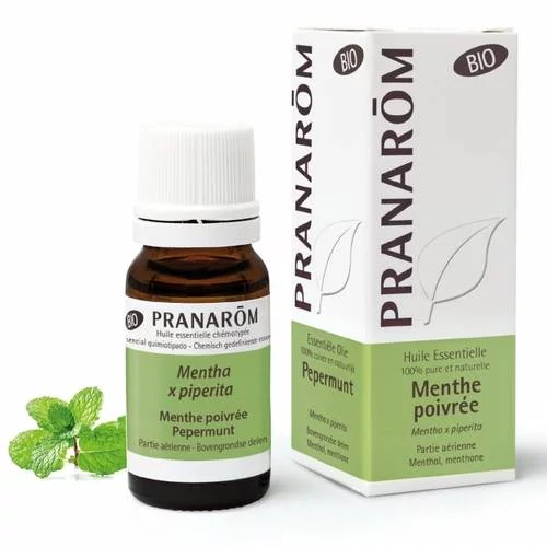 Menthe poivrée - 10 ml Partie aérienne BIO