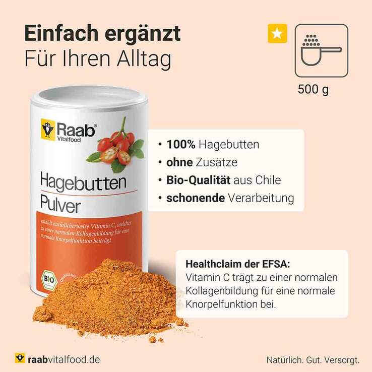Raab Vitalfood Hagebutte Bio Pulver, 500 g