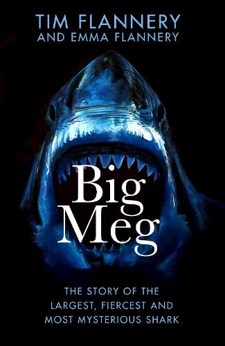 Big Meg: The Story of the Largest, Fiercest and Most Mysterious Shark (Hardback)