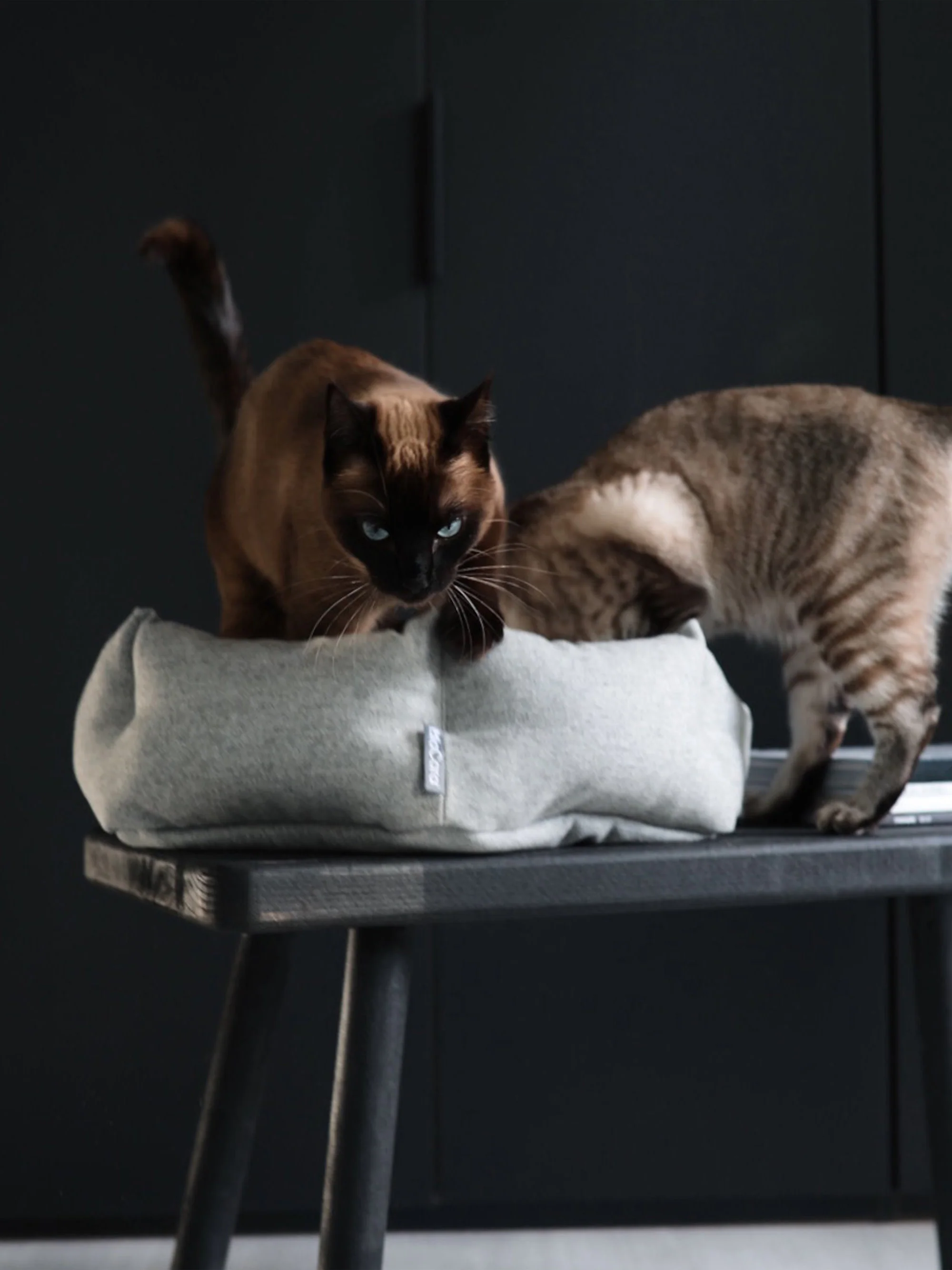 Kattenmand Calma van wol