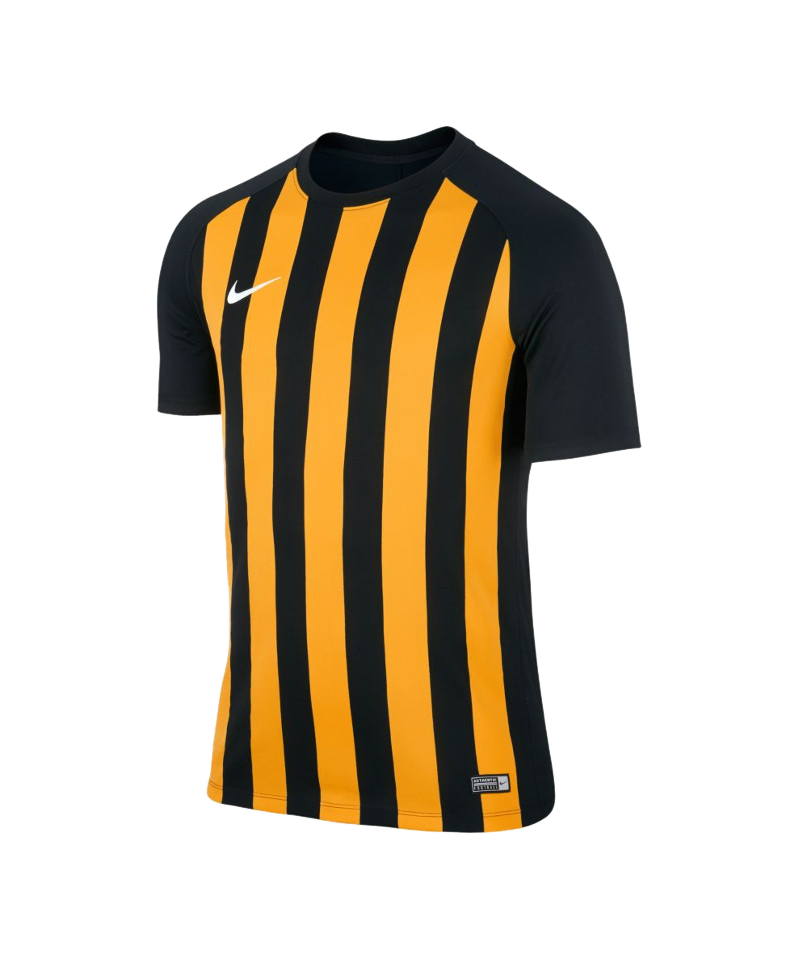 Nike Striped Segment III Trikot kurzarm F010