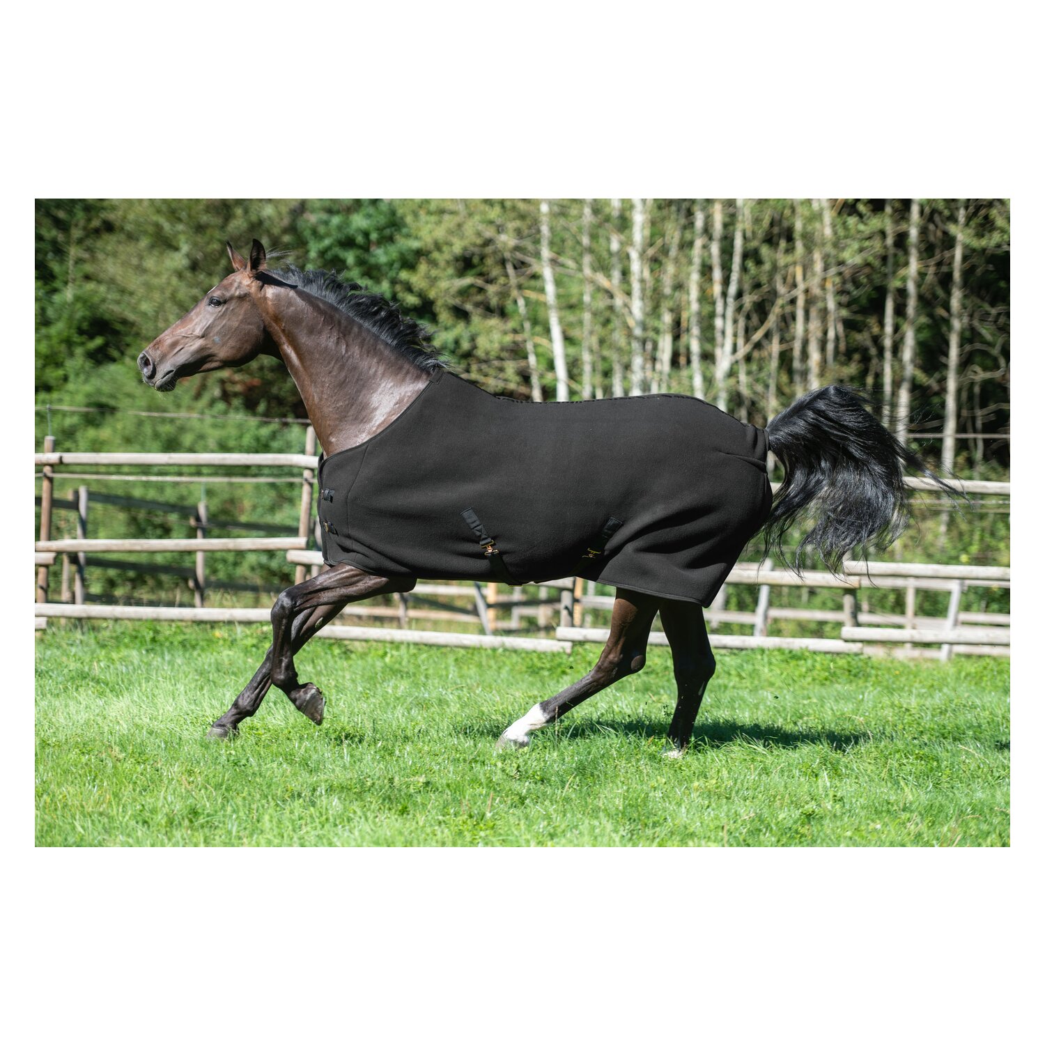 RIDE now Abschwitzdecke Luton  - black