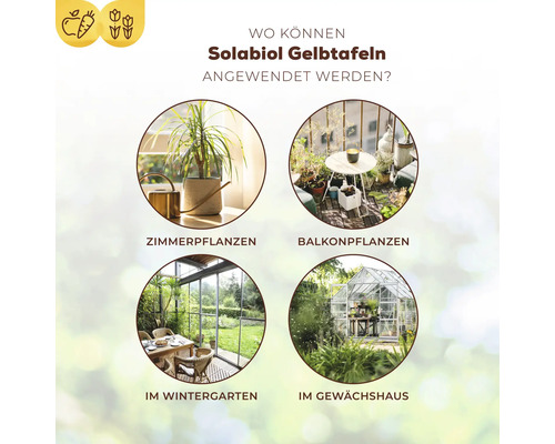 Gele platen Solabiol Natria 7 stuks