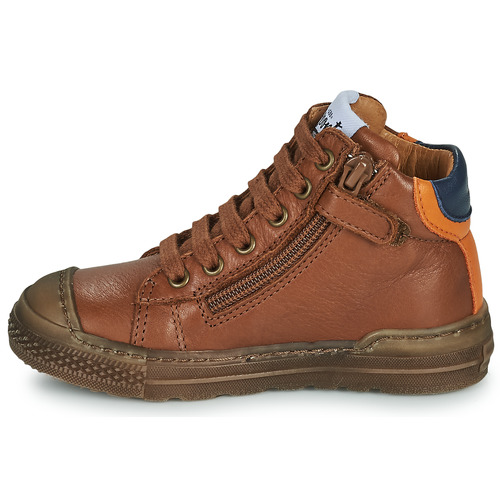 GBB - RAPIDO - Marron