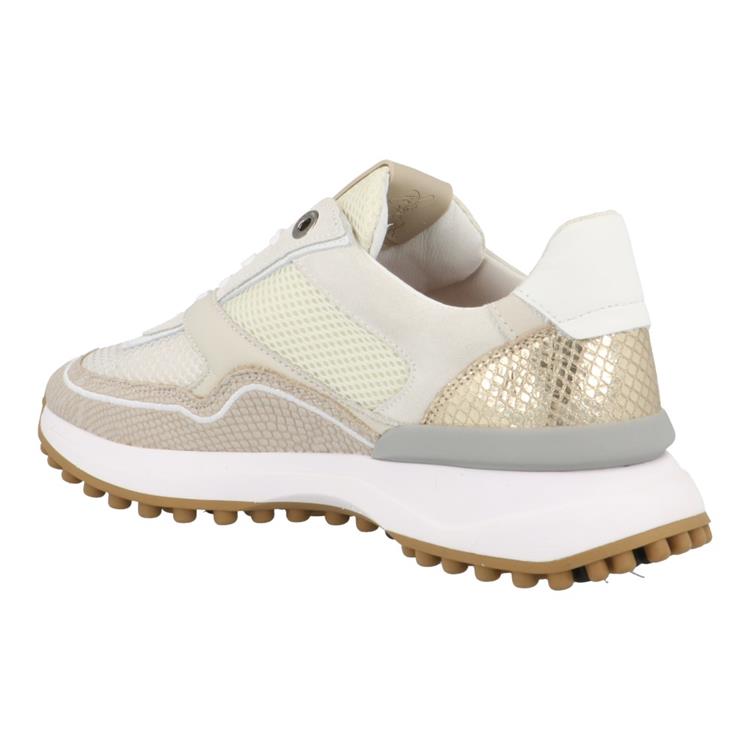 Floris van Bommel SFW-10128 taupe