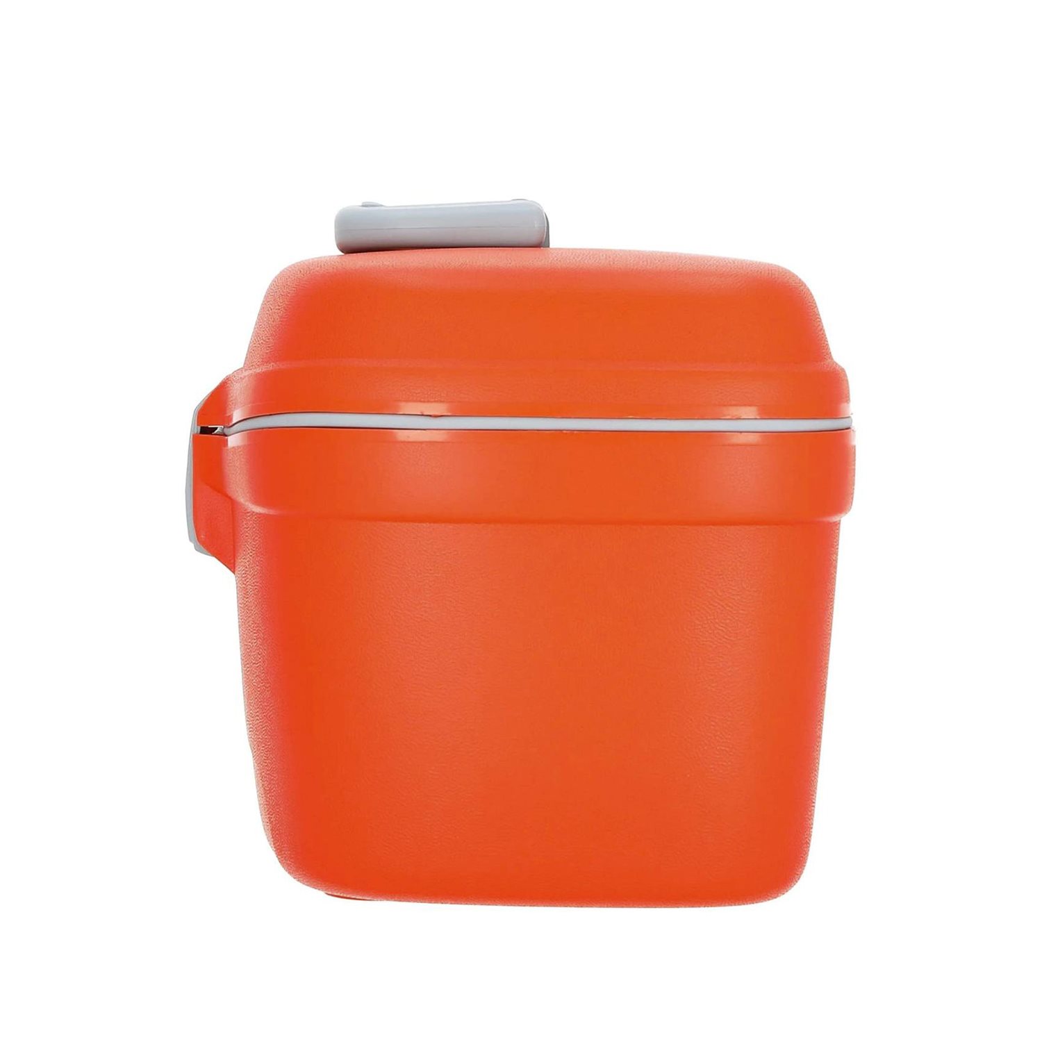Roncato Beauty Small Beauty Case papaia