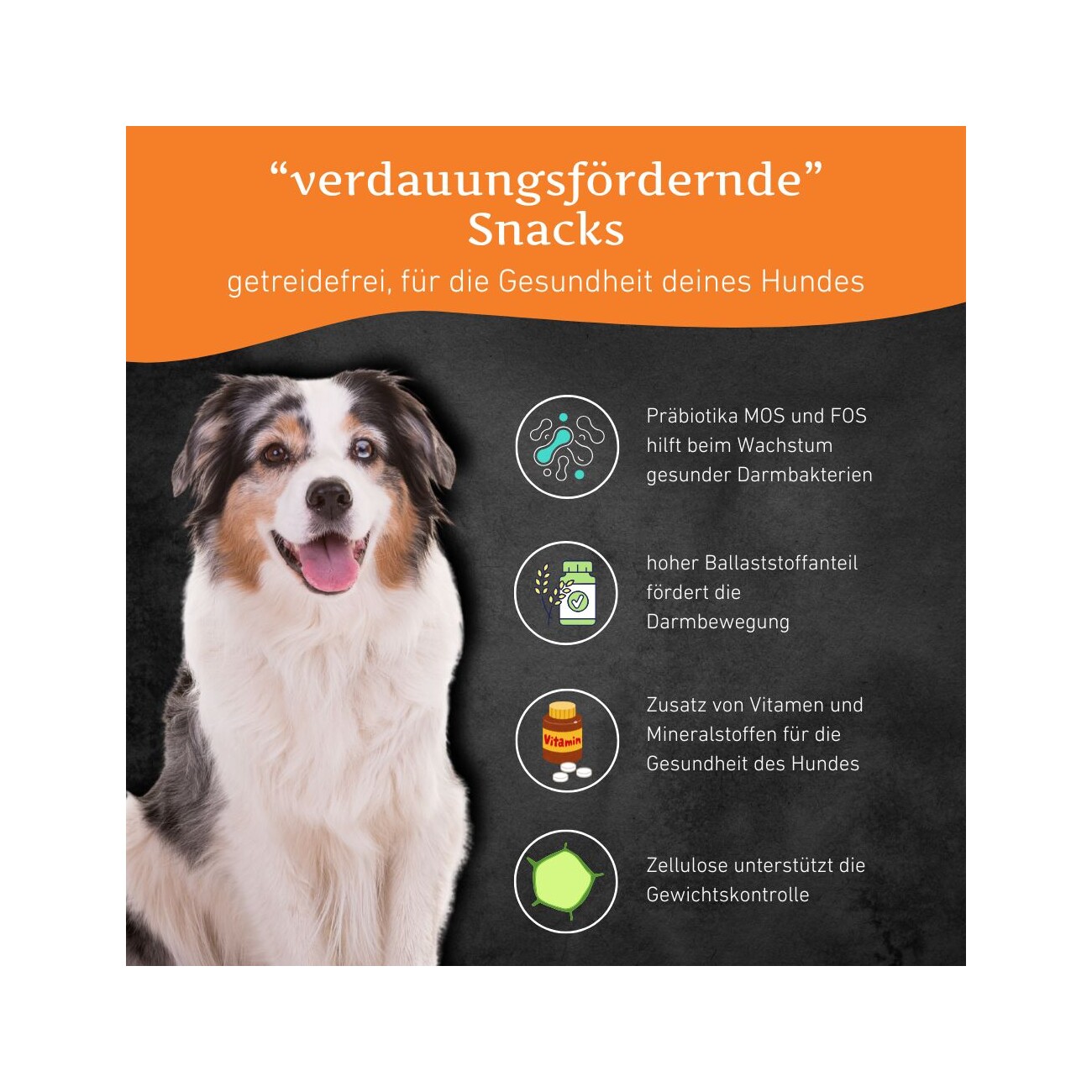 Wildfang Verdauungsfördernde Snacks - getreidefrei - 70 g