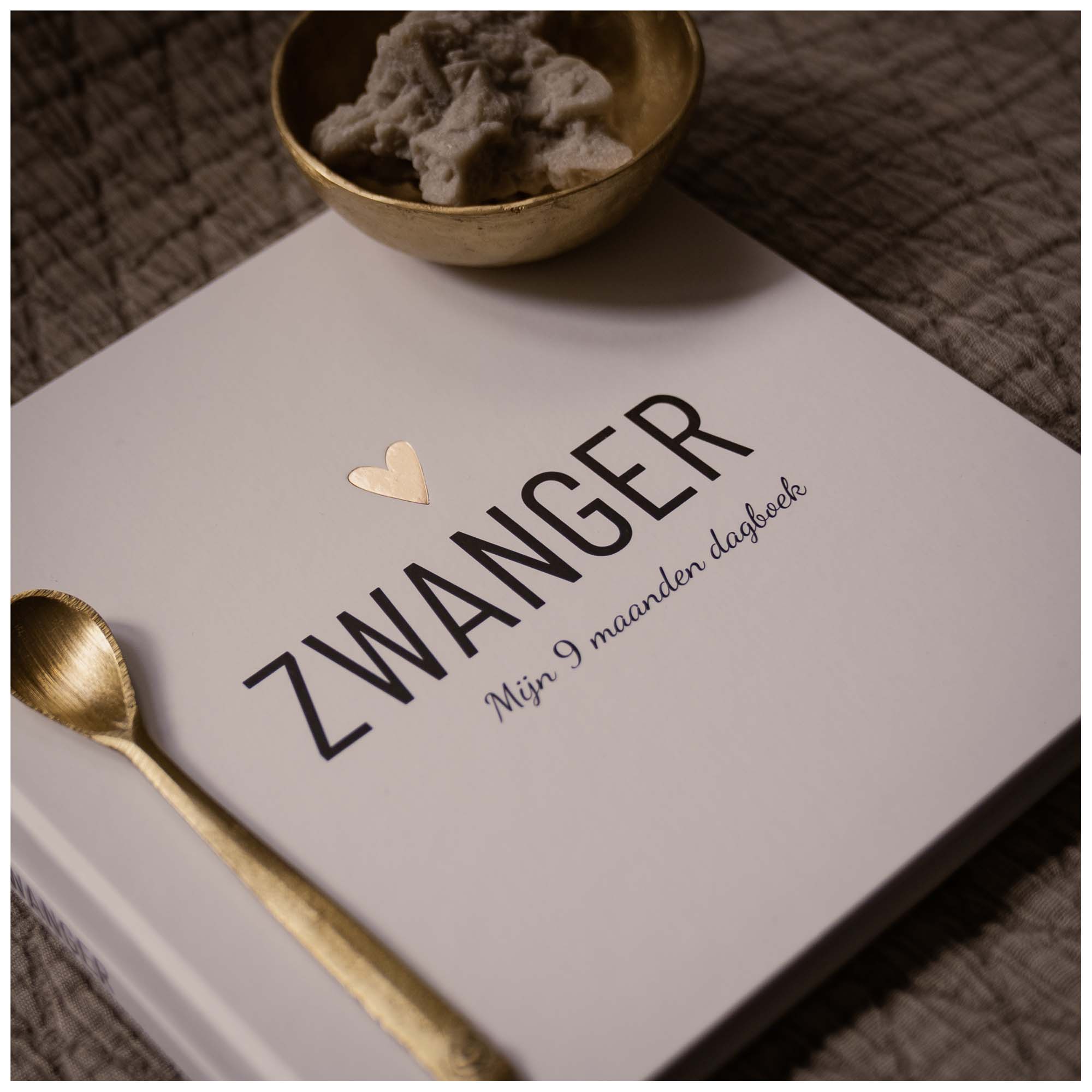 Zwanger - Mijn 9 maanden dagboek  - zwangerschapsboeken - Prénatal