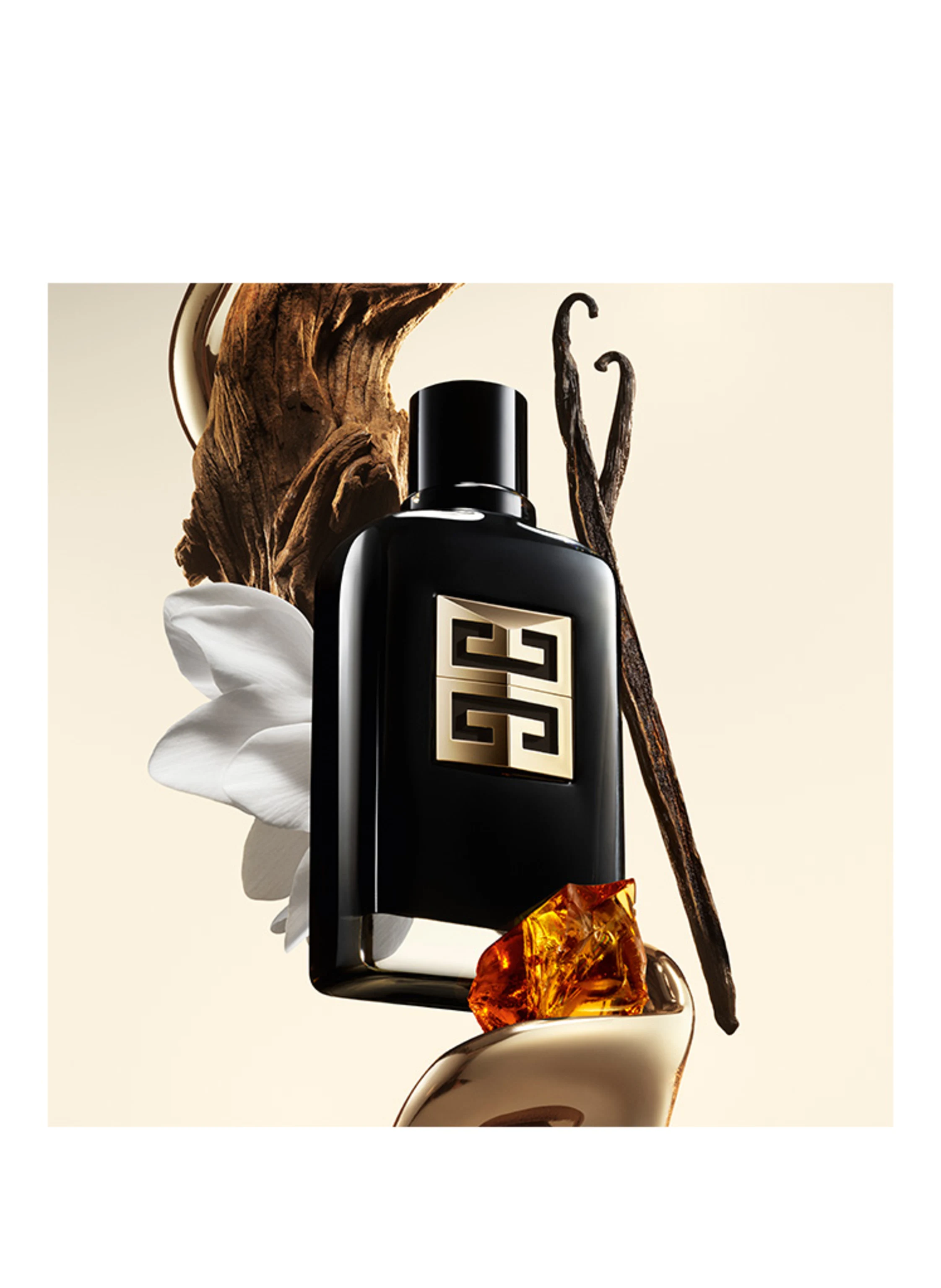 GIVENCHY BEAUTY GENTLEMEN SOCIETY AMBREE