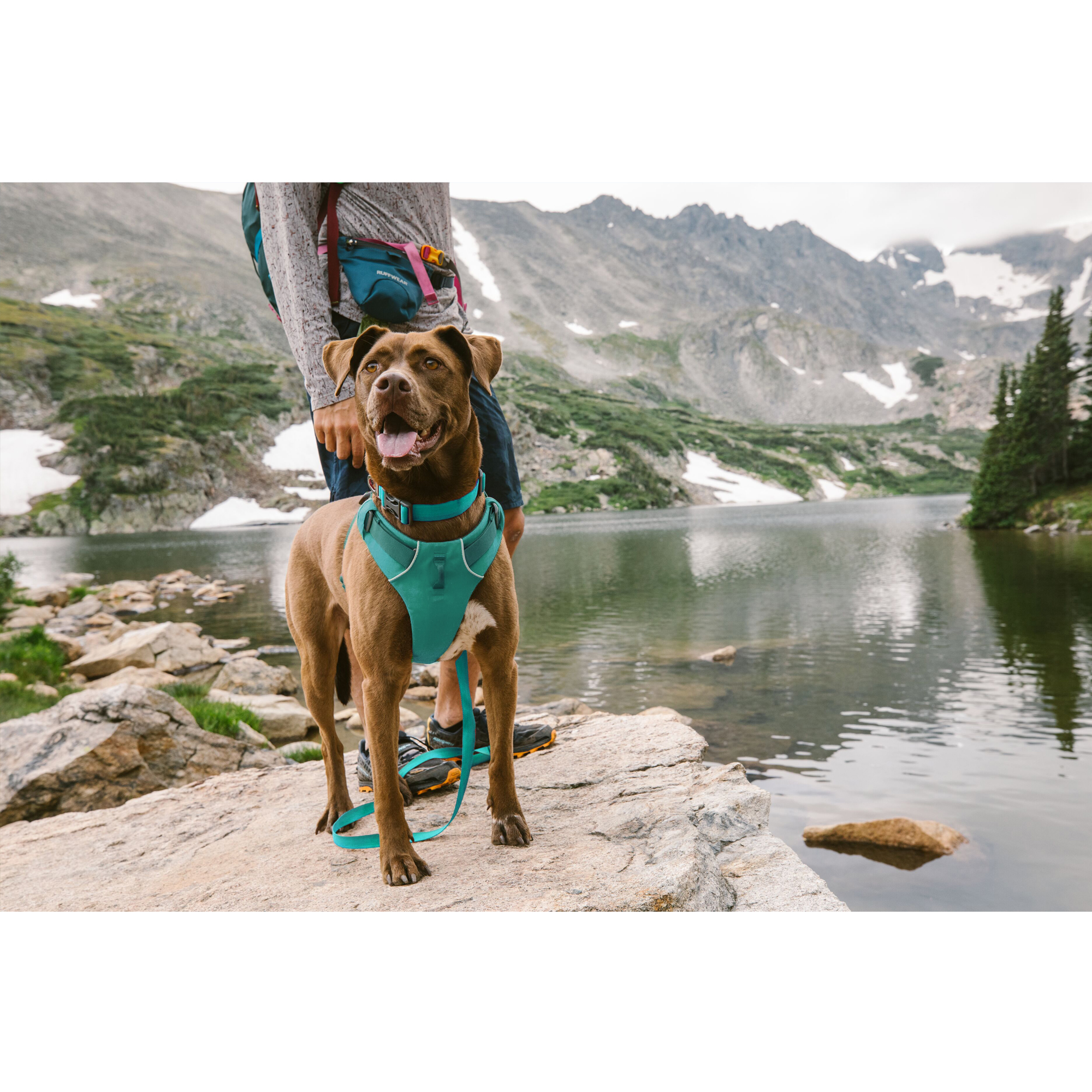 Ruffwear Front Range Harness