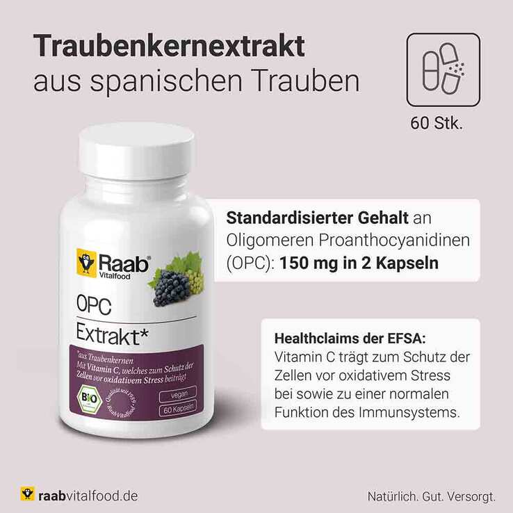 Raab Vitalfood OPC Extrakt Kapseln Bio, 60 St
