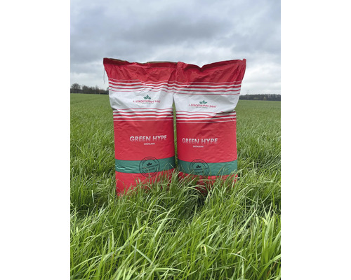 GreenHype 'Dry Site' graslandzaad 25 kg / 8000 m²