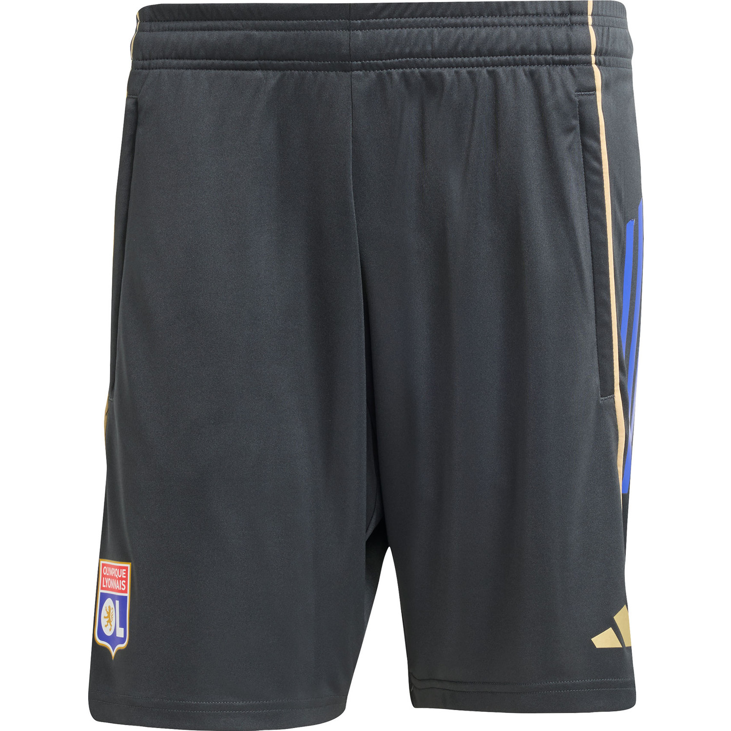 adidas Olympique Lyon Training Short 2025/2026