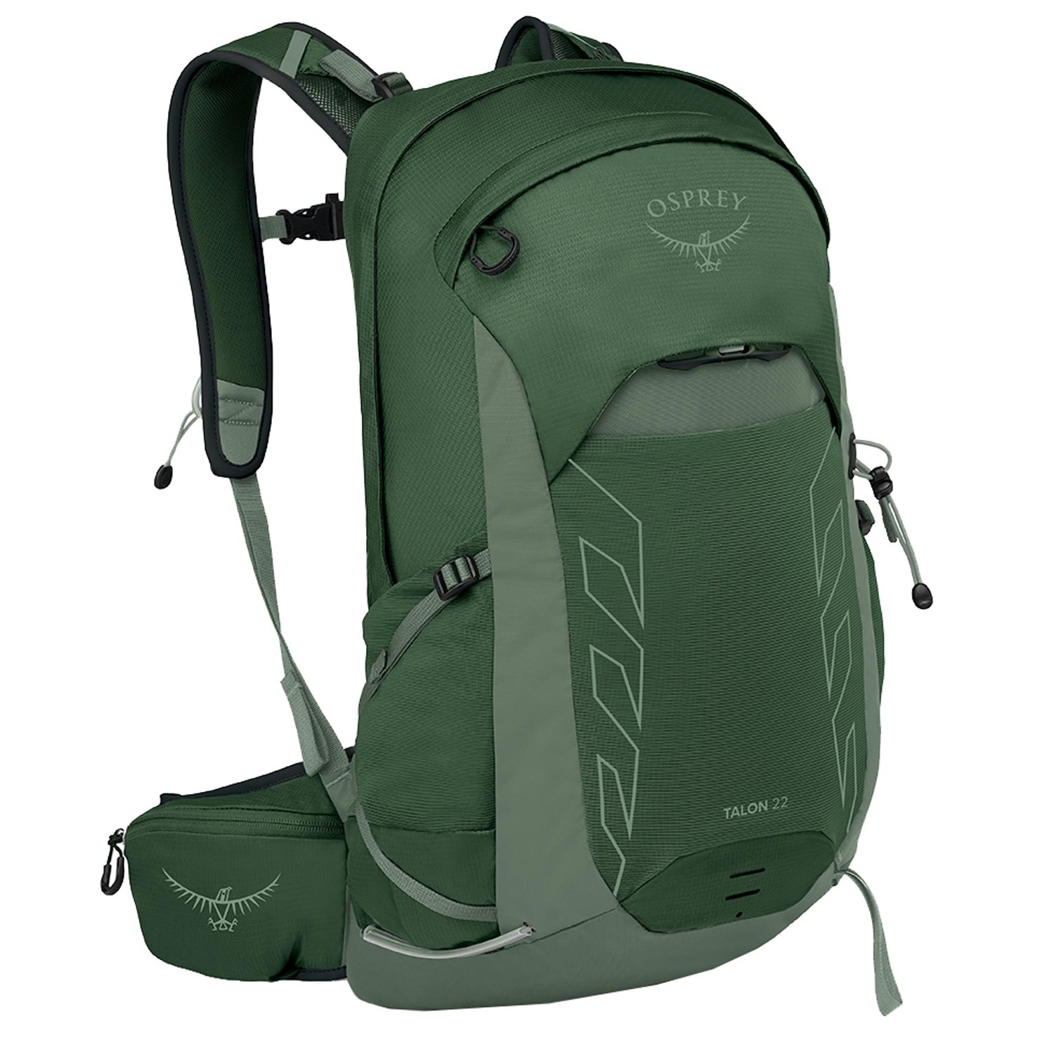 Osprey Talon 22 green canopy-pine leaf