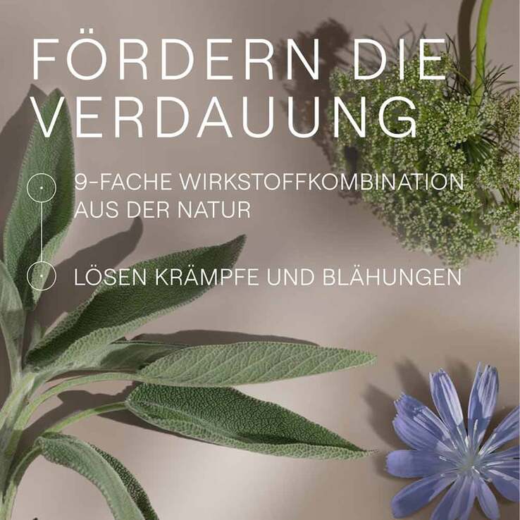 Amara-Tropfen Dilution, 50 ml