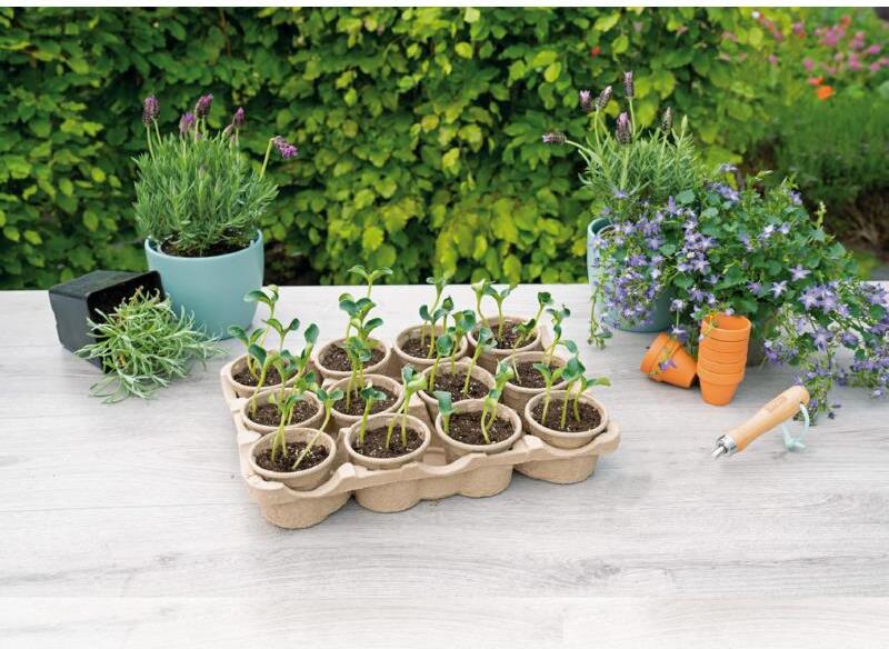 Sogo eco kweektray inclusief 12 potjes 7,5 x 40 x 28 cm