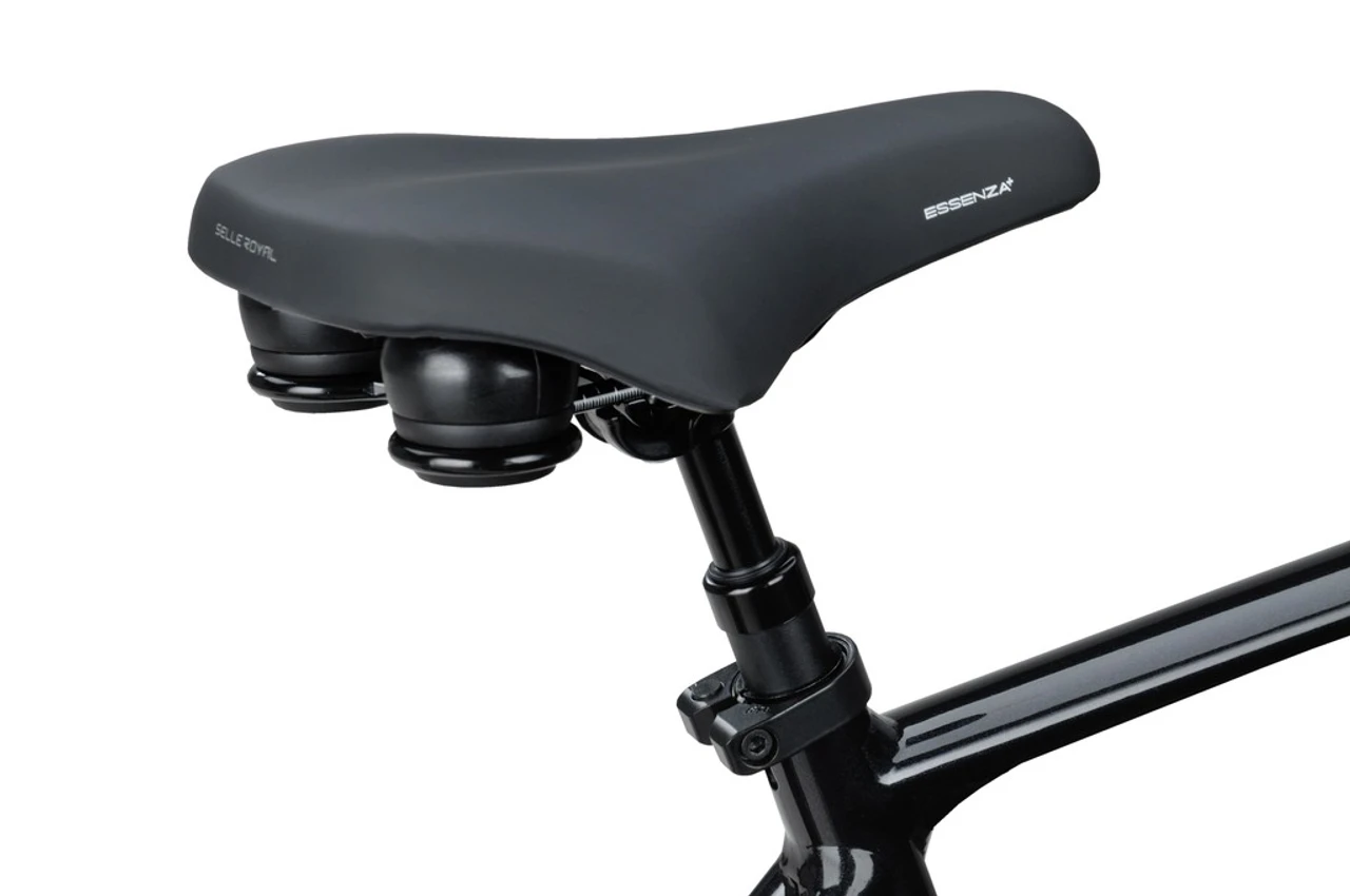 Batavus Finez 2025