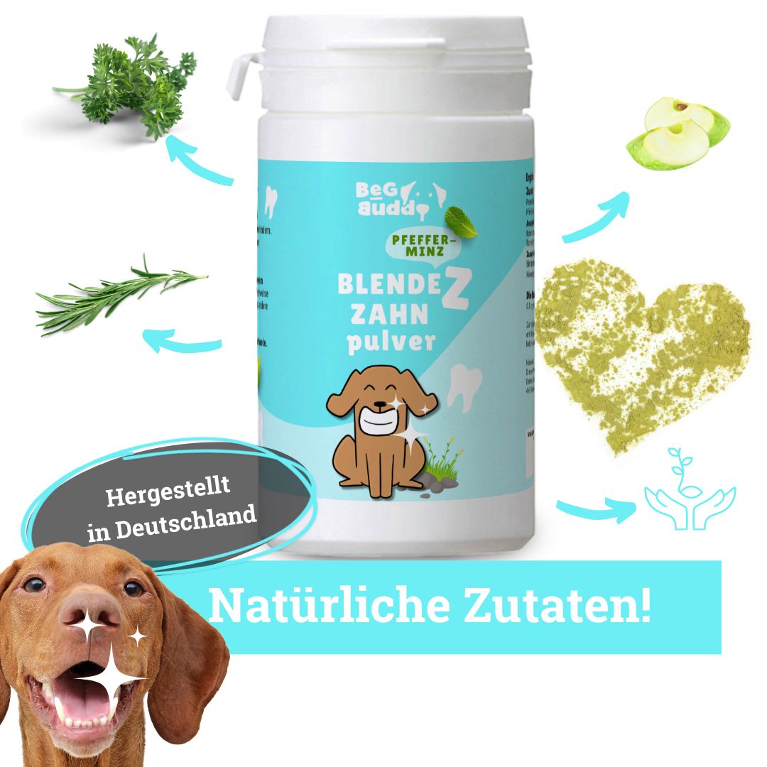 BeG Buddy Zahn weiß Pulver für Hunde zur Zahnreinigung, Zahnpflege Hund