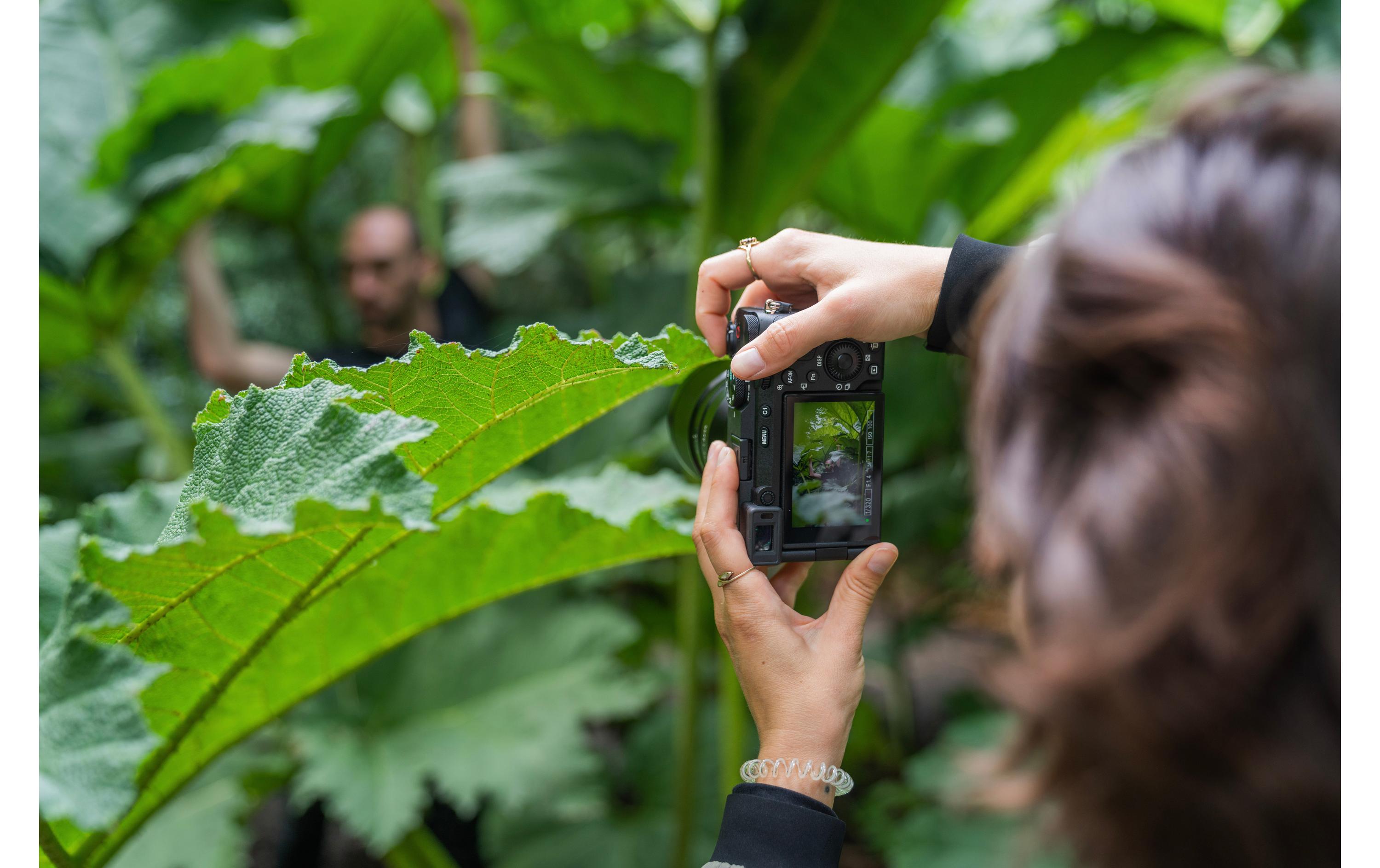Fotokamera Alpha 7CR Schwarz<br>Spiegellose Vollformat-Wechselobjektivkamera (kompakt, 61 Mpx, Echtzeit-Autofokus, 4K 60p)