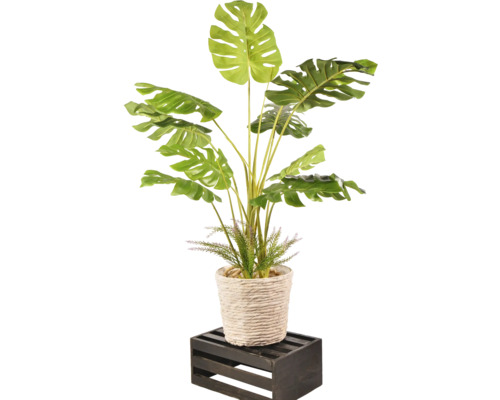 Lafiora mand, waterhyacint, Ø 30 cm, H 27 cm, beige