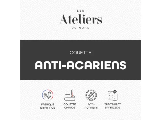Couette Chaude Anti-acariens 140x200cm